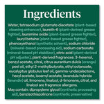 Load image into Gallery viewer, Foaming Dish Spray, Mandarin Orange Scent, 16 Oz Bottle, 6/carton