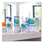 Load image into Gallery viewer, Foaming Dish Spray, Mandarin Orange Scent, 16 Oz Bottle, 6/carton