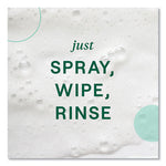 Load image into Gallery viewer, Foaming Dish Spray, Mandarin Orange Scent, 16 Oz Bottle, 6/carton