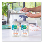 Load image into Gallery viewer, Foaming Dish Spray, Mandarin Orange Scent, 16 Oz Bottle, 6/carton
