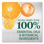 Load image into Gallery viewer, Foaming Dish Spray, Mandarin Orange Scent, 16 Oz Bottle, 6/carton