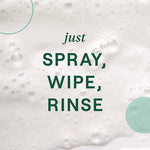 Load image into Gallery viewer, Foaming Dish Spray, Mandarin Orange Scent, 16 Oz Bottle