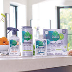 Load image into Gallery viewer, Foaming Dish Spray, Mandarin Orange Scent, 16 Oz Bottle