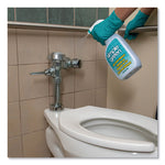 Load image into Gallery viewer, Lime Scale Remover, Wintergreen, 32 Oz Spray Bottle, 12/carton