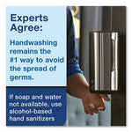 Load image into Gallery viewer, Premium Alcohol-free Foam Sanitizer, 1 L Bottle, Unscented, 6/carton