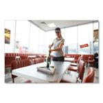 Load image into Gallery viewer, Stingray Glass Washing Pads, Gray