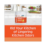 Load image into Gallery viewer, Odor Absorbing Gel, Scentillating Citrus, 14 Oz Jar