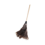Load image into Gallery viewer, Professional Ostrich Feather Duster, 13" Handle