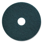 Load image into Gallery viewer, Cleaning Floor Pads, 17" Diameter, Blue, 5/carton