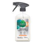 Load image into Gallery viewer, Foaming Dish Spray, Mandarin Orange Scent, 16 Oz Bottle, 6/carton