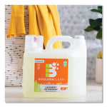 Load image into Gallery viewer, Liquid Laundry Detergent, Citrus Breeze, 200 Oz Bottle, 2/carton
