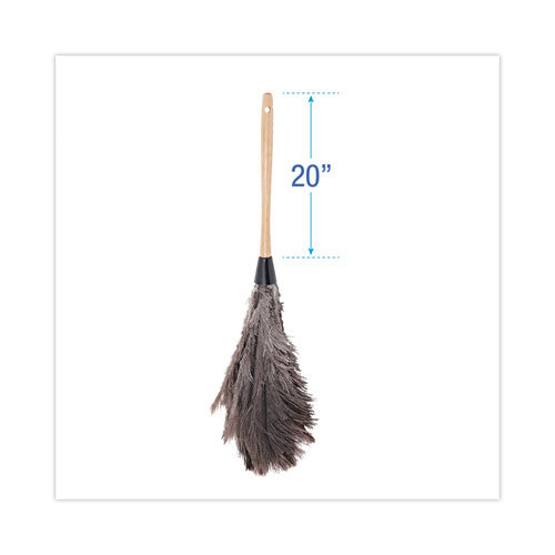 Professional Ostrich Feather Duster, Wood Handle, 20"