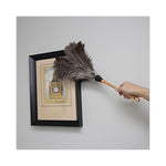 Load image into Gallery viewer, Professional Ostrich Feather Duster, Wood Handle, 20&quot;
