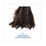 Load image into Gallery viewer, Professional Ostrich Feather Duster, 16&quot; Handle
