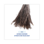 Load image into Gallery viewer, Professional Ostrich Feather Duster, 16&quot; Handle
