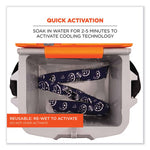 Load image into Gallery viewer, Chill-its 6700 Cooling Bandana Polymer Tie Headband, One Size Fits Most, Navy Western, Ships In 1-3 Business Days

