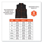Load image into Gallery viewer, N-ferno 6495 Rechargeable Heated Vest With Battery Power Bank, Fleece/polyester, 2x-large, Black, Ships In 1-3 Business Days
