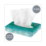 Load image into Gallery viewer, White Facial Tissue Junior Pack, 2-ply, 48 Sheets/box, 64 Boxes/carton
