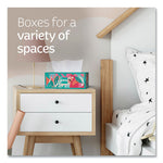 Load image into Gallery viewer, Trusted Care Facial Tissue, 2-ply, White, 160 Sheets/box, 3 Boxes/pack, 12 Packs/carton
