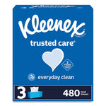 Load image into Gallery viewer, Trusted Care Facial Tissue, 2-ply, White, 160 Sheets/box, 3 Boxes/pack, 12 Packs/carton
