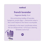 Load image into Gallery viewer, Foaming Hand Wash, French Lavender, 10 Oz Pump Bottle

