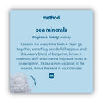 Load image into Gallery viewer, Foaming Hand Wash, Sea Minerals, 10 Oz Pump Bottle, 6/carton
