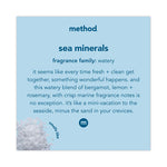 Load image into Gallery viewer, Foaming Hand Wash, Sea Minerals, 10 Oz Pump Bottle
