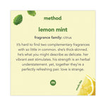 Load image into Gallery viewer, Foaming Hand Wash, Lemon Mint, 10 Oz Pump Bottle
