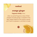 Load image into Gallery viewer, Foaming Hand Wash, Orange Ginger, 10 Oz Pump Bottle
