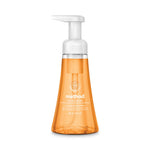 Load image into Gallery viewer, Foaming Hand Wash, Orange Ginger, 10 Oz Pump Bottle, 6/carton
