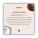 Load image into Gallery viewer, Foaming Hand Wash, Coconut Waters, 10 Oz Pump Bottle
