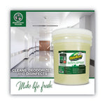 Load image into Gallery viewer, Concentrated Odor Eliminator And Disinfectant, Eucalyptus, 5 Gal Pail
