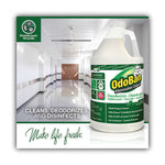 Load image into Gallery viewer, Concentrated Odor Eliminator And Disinfectant, Eucalyptus, 1 Gal Bottle
