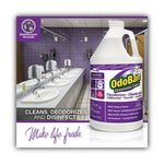 Load image into Gallery viewer, Concentrate Odor Eliminator And Disinfectant, Lavender Scent, 1 Gal Bottle, 4/carton
