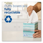 Load image into Gallery viewer, Ultra Soft Facial Tissue, 2-ply, White, 124 Sheets/box, 6 Boxes/pack, 4 Packs/carton
