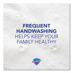 Load image into Gallery viewer, Antibacterial Foam Hand Soap, E-2 Formula, Unscented, 1,200 Ml Refill, 4/carton
