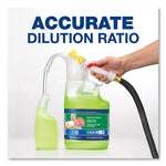 Load image into Gallery viewer, Dilute 2 Go, Mr Clean Finished Floor Cleaner, Lemon Scent, 4.5 L Jug, 1/carton
