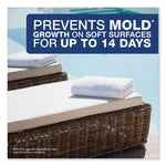 Load image into Gallery viewer, Professional Sanitizing Fabric Refresher, Light Scent, 1 Gal Bottle, Ready To Use, 3/carton

