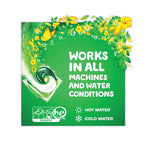 Load image into Gallery viewer, Flings Detergent Pods, Orginal, 81 Pods/tub
