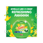 Load image into Gallery viewer, Flings Detergent Pods, Orginal, 81 Pods/tub
