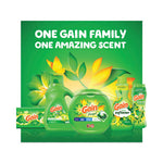 Load image into Gallery viewer, Flings Detergent Pods, Orginal, 81 Pods/tub
