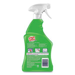 Load image into Gallery viewer, Stain Remover, 22 Oz Spray Bottle, 12/carton
