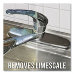 Load image into Gallery viewer, Lime, Calcium And Rust Remover, 22 Oz Spray Bottle
