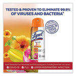 Load image into Gallery viewer, 2 In 1 Disinfectant Spray Iii, Tropical Breeze, 10 Oz Aerosol Spray, 6/carton
