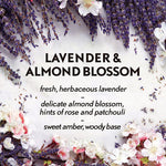 Load image into Gallery viewer, Essential Mist Starter Kit, Lavender And Almond Blossom, 0.67 Oz Bottle, 4/carton
