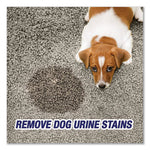 Load image into Gallery viewer, Urine Destroyer, Citrus, 32 Oz Spray Bottle
