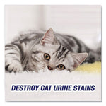 Load image into Gallery viewer, Urine Destroyer, Citrus, 32 Oz Spray Bottle
