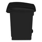 Load image into Gallery viewer, Plastic Step-on Receptacle, 20 Gal, Metal, Black, Ships In 1-3 Business Days
