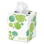 Load image into Gallery viewer, 100% Recycled Facial Tissue, 2-ply, 85 Sheets/box, 36 Boxes/carton
