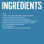 Load image into Gallery viewer, Natural Dishwashing Liquid, Free And Clear, 19 Oz Bottle
